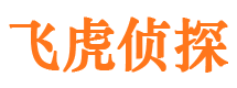 东兰市调查公司